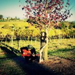 Rebecca and Nathan Acoustic Duo hire Melbourne 6